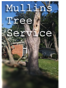 Mullins Tree Service